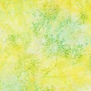 *Jacqueline DeJonge 15202Q