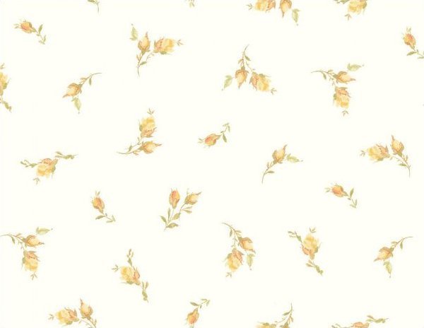 Whisper Roses MAS8724-W