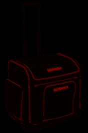 Bernina Overlocker/Serger Suitcase
