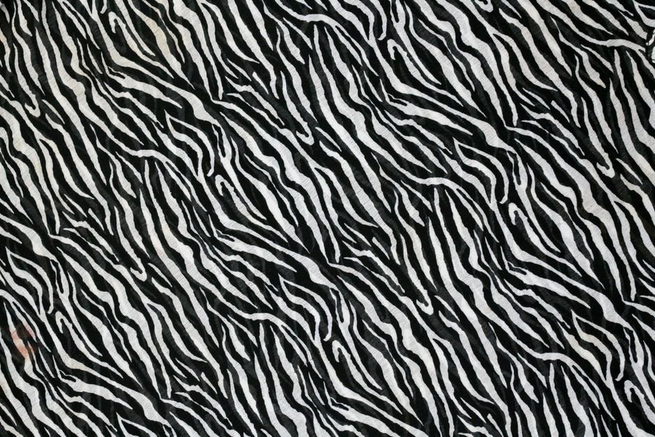 Everything You Need To Know About Dan Morris Fabric