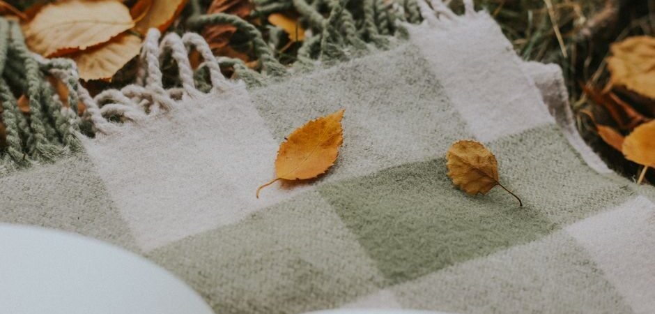 Light Green Plaid: Tips, Types, And What To Know